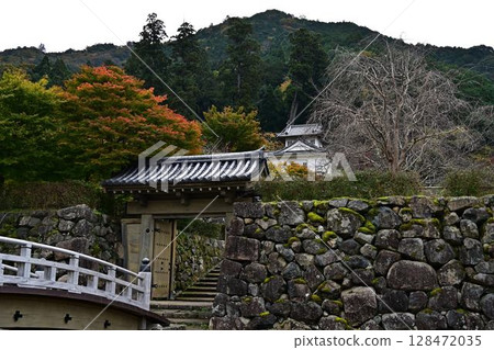 Autumn leaves of Izushi Castle 128472035