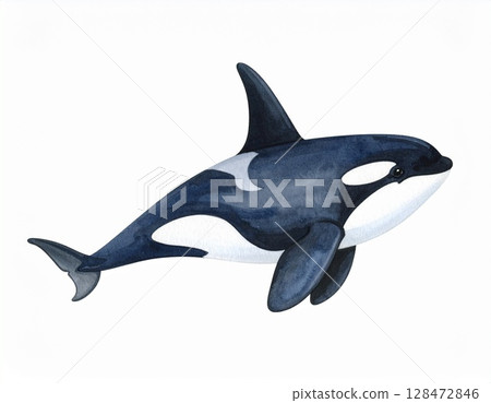 Orca 128472846