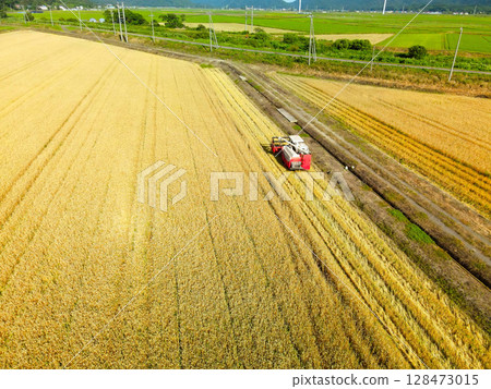 Aerial view of autumn wheat harvesting in Esashi, Hokkaido in summer Aerial view of autumn wheat harvesting in Esashi, Hokkaido in summer 128473015