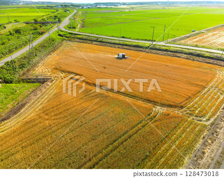 Aerial view of autumn wheat harvesting in Esashi, Hokkaido in summer Aerial view of autumn wheat harvesting in Esashi, Hokkaido in summer 128473018
