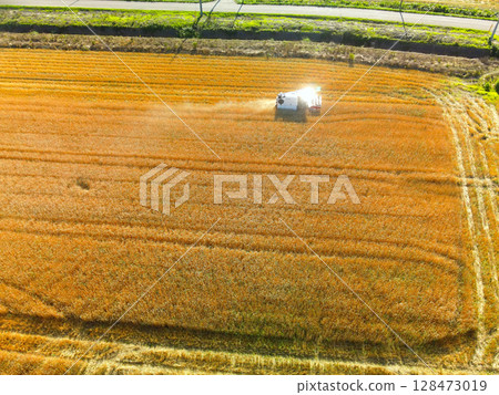 夏季北海道江差秋小麥收割的鳥瞰圖 128473019