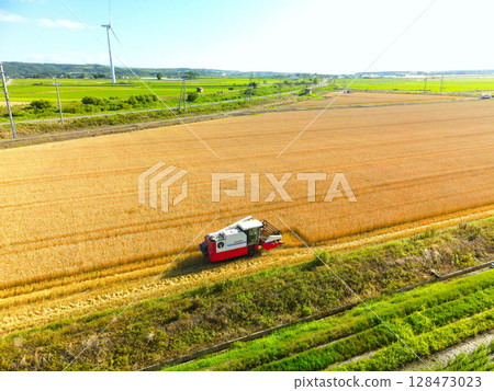 Aerial view of autumn wheat harvesting in Esashi, Hokkaido in summer 128473023