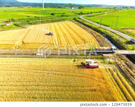 夏季北海道江差秋小麥收割的鳥瞰圖 128473039