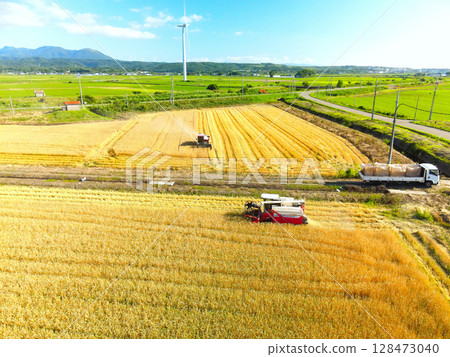 夏季北海道江差秋小麥收割的鳥瞰圖 夏季北海道江差秋小麥收割的鳥瞰圖 128473040
