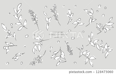 非洲菊的線條畫。花卉和植物的向量插圖。夏季彩色植物花卉插圖框架。 128473060