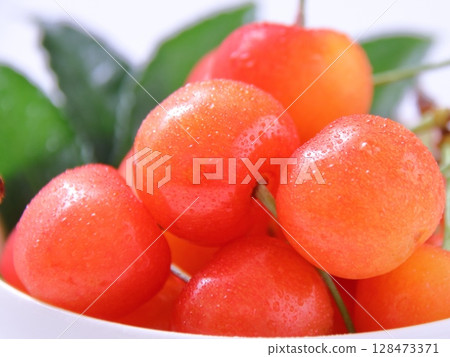 Cherry Sato Nishiki Cherry Sato Nishiki 128473371