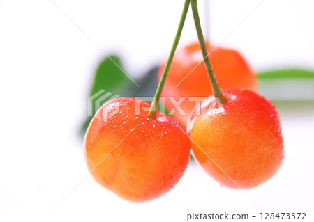 Cherry Sato Nishiki 128473372