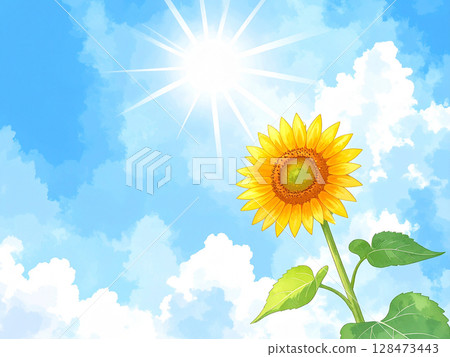 A single sunflower and blue sky 128473443