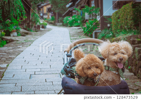 Stroll around Magome-juku Stroll around Magome-juku 128473529