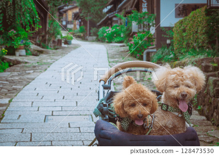 Stroll around Magome-juku 128473530