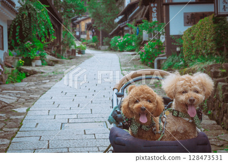 Stroll around Magome-juku Stroll around Magome-juku 128473531