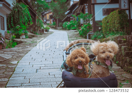 Stroll around Magome-juku 128473532