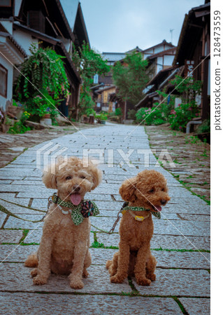 Stroll around Magome-juku Stroll around Magome-juku 128473559