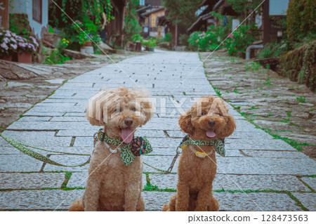 在馬籠宿漫步 128473563