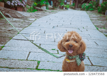 Stroll around Magome-juku Stroll around Magome-juku 128473568
