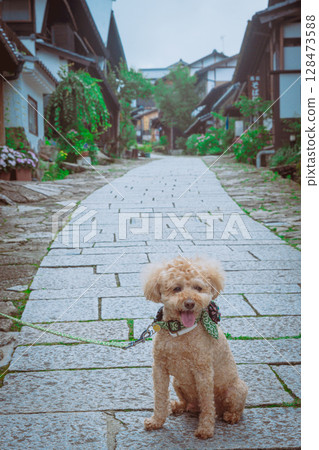 Stroll around Magome-juku 128473588
