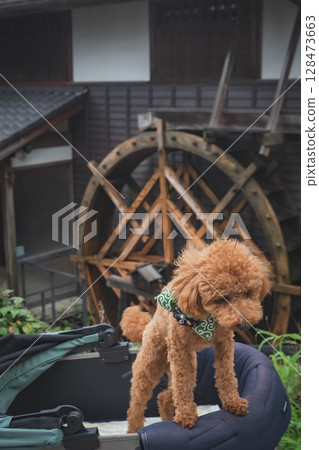 在馬籠宿漫步 128473663