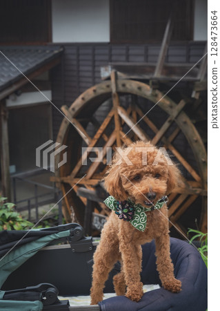在馬籠宿漫步 128473664