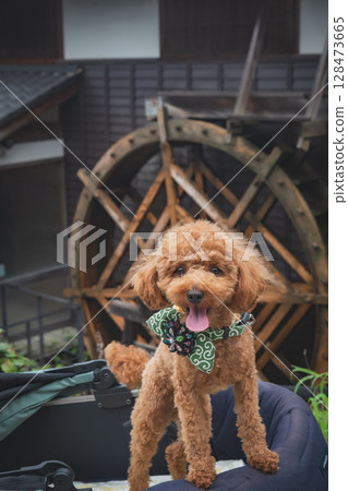 在馬籠宿漫步 128473665
