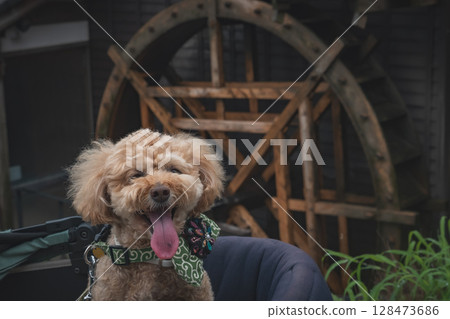 Stroll around Magome-juku Stroll around Magome-juku 128473686