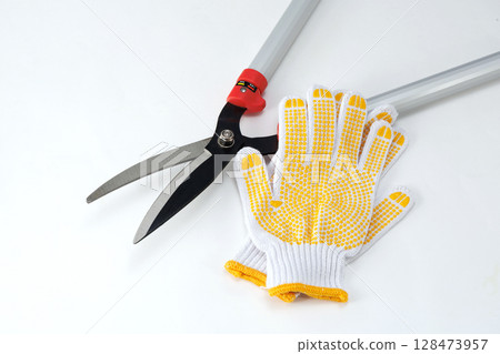 Hedge shears and gloves 128473957