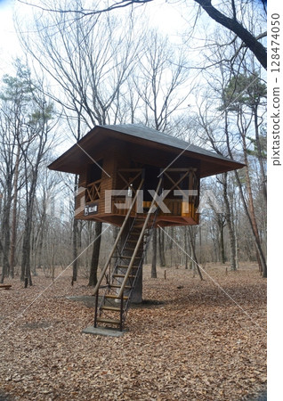 自然觀察小屋（赤城自然花園/群馬澀川市） 128474050