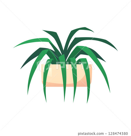 Vector illustration of a flower in a pot with green leaves. Plant for home, office, salon. 128474380