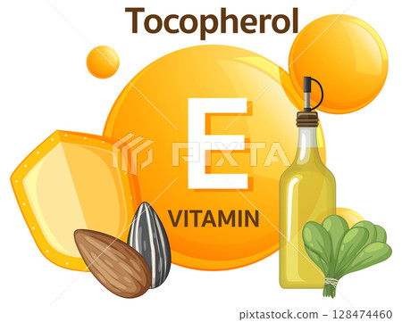 Vitamin E Sources and Tocopherol Nutritional Illustration 128474460