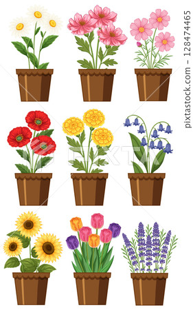 Colorful Potted Flowers Vector Illustration Collection 128474465