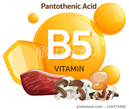 Vitamin B5 Pantothenic Acid Food Sources Vector Illustration 128474486