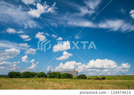 Summer scenery of the Yodo River riverbed, Hirakata City, Osaka Prefecture 128474618