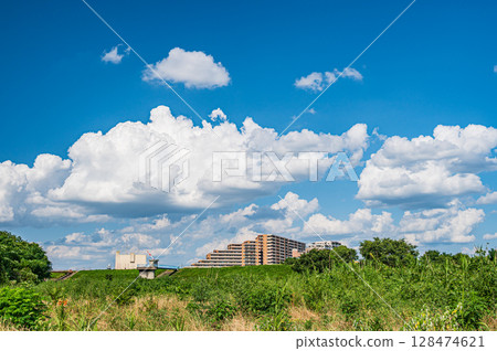 Summer scenery of the Yodo River riverbed, Hirakata City 128474621