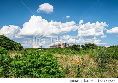 Summer scenery of the Yodo River riverbed, Hirakata City Summer scenery of the Yodo River riverbed, Hirakata City 128474622