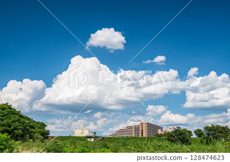 Summer scenery of the Yodo River riverbed, Hirakata City 128474623