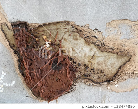 Honeycomb of Stingless bee on the wall 128474880