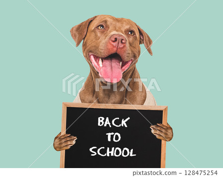 Back to school. Cute dog and black board 128475254