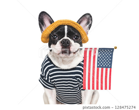 Cute puppy, sunhat and American Flag. Studio shot 128475274