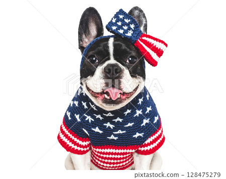 Cute puppy, bow and American Flag. Dog smile 128475279