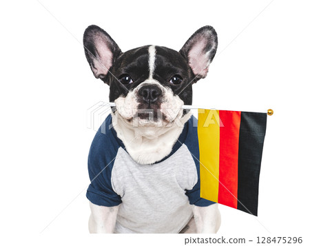 Lovable, pretty dog and German Flag. Closeup 128475296