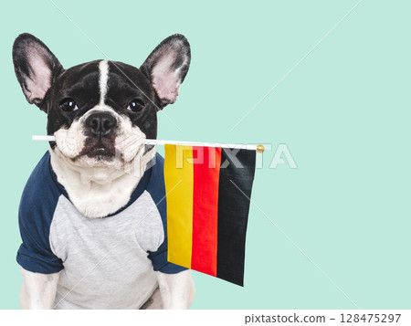 Lovable, pretty dog and German Flag. Closeup 128475297