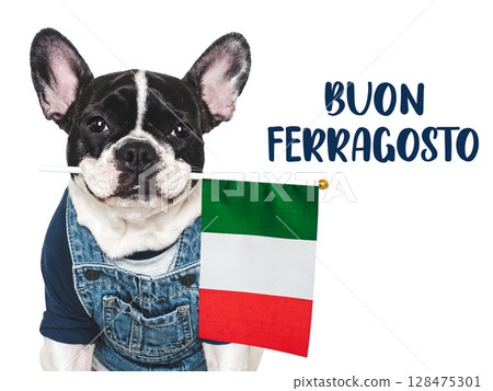 Charming puppy and Italian Flag. Studio shot 128475301