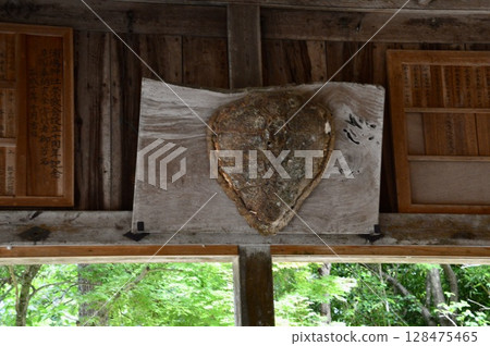 Turtle shell (Urashima Shrine/141 Honjohama, Ine-cho, Yosa-gun, Kyoto Prefecture) Turtle shell (Urashima Shrine/141 Honjohama, Ine-cho, Yosa-gun, Kyoto Prefecture) 128475465