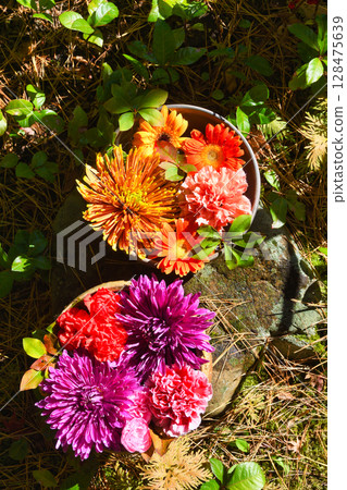 Kamakura Ichijo Ekan Sanso Beautiful Flower Water Basin (Kamakura City, Kanagawa Prefecture) Kamakura Ichijo Ekan Sanso Beautiful Flower Water Basin (Kamakura City, Kanagawa Prefecture) 128475639