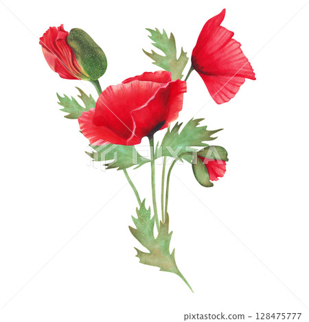 Red poppy with bud and leaves. Watercolor and marker illustration. Hand-drawn botanical composition, isolated. Symbolism of memory and peace. Wild flowers for packaging, postcards, invitations 128475777