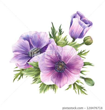Purple Anemone Watercolor flowers Bouquet. Windflowers Pink lilac and green buds isolated clipart. Bunch of flower for wedding, birthday, valentines tag greeting card design. Hand drawn illustration Purple Anemone Watercolor flowers Bouquet. Windflowers Pink lilac and green buds isolated clipart. Bunch of flower for wedding, birthday, valentines tag greeting card design. Hand drawn illustration 128476718