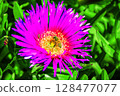 Bumble Bee and Purple Flower 128477077