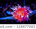 Colourful Flower curled up 128477083