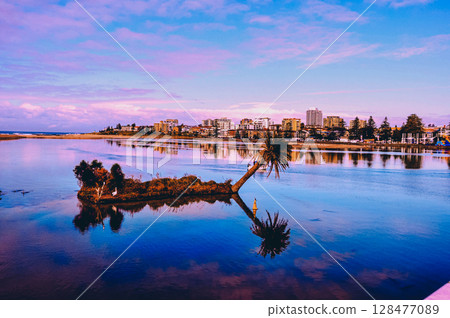 Skyline Palm Tree Reflection Skyline Palm Tree Reflection 128477089