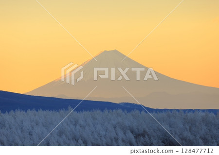 冬山上的樹上覆蓋著雪 冬山上的樹上覆蓋著雪 128477712