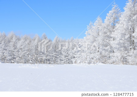冬山上的樹上覆蓋著雪 冬山上的樹上覆蓋著雪 128477715